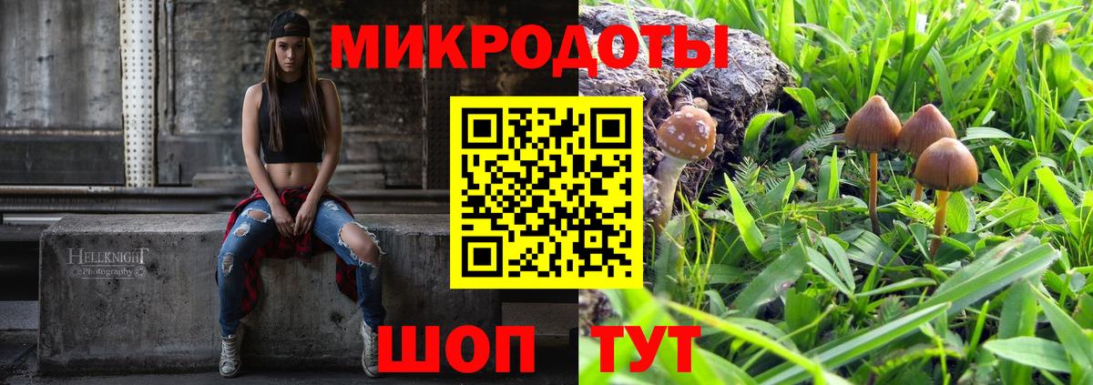 Псилоцибиновые грибы Psilocybe Чусовой